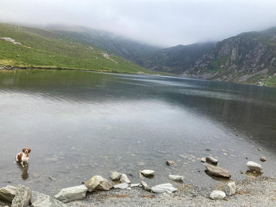 فيلا Hedd Wen Llanllyfni المظهر الخارجي الصورة